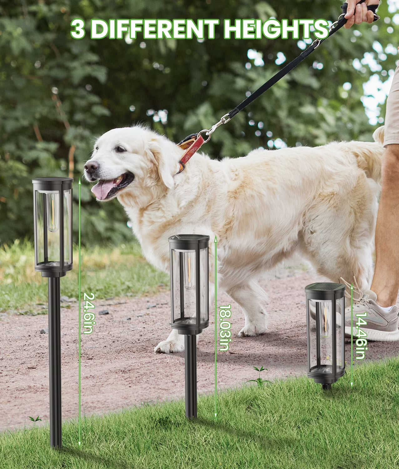 Illuminate Your Outdoors with Our Premium Solar Pathway Lights - 2 Pack Waterproof and Stylish!